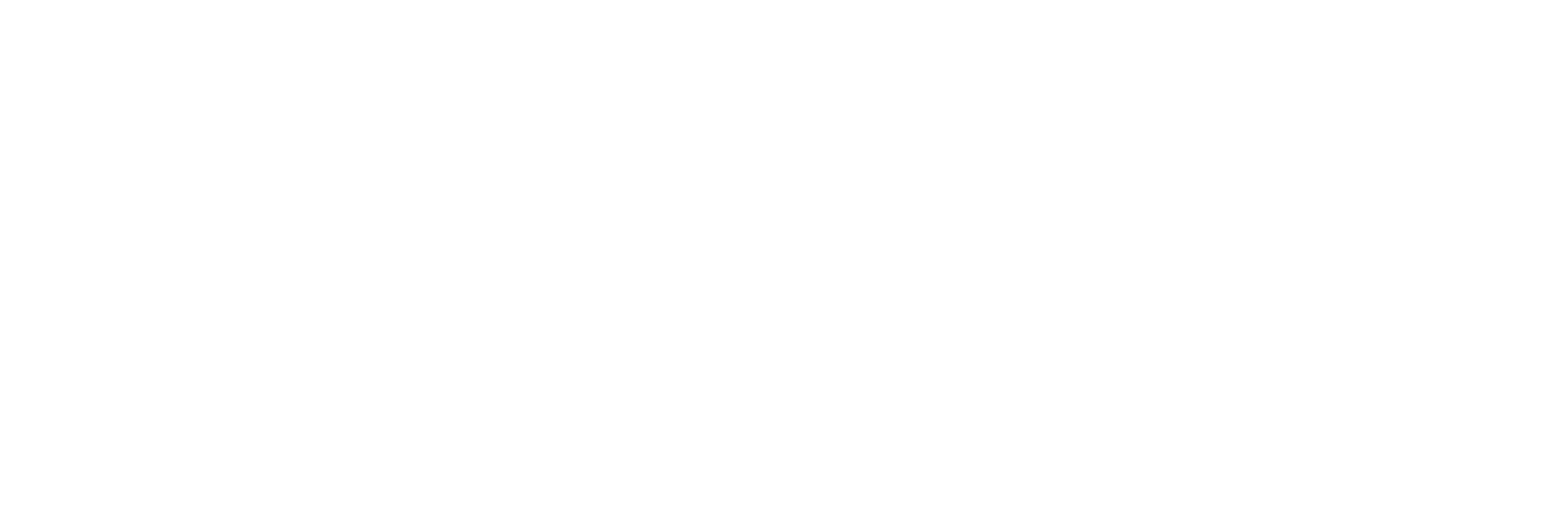 Bringo Logo